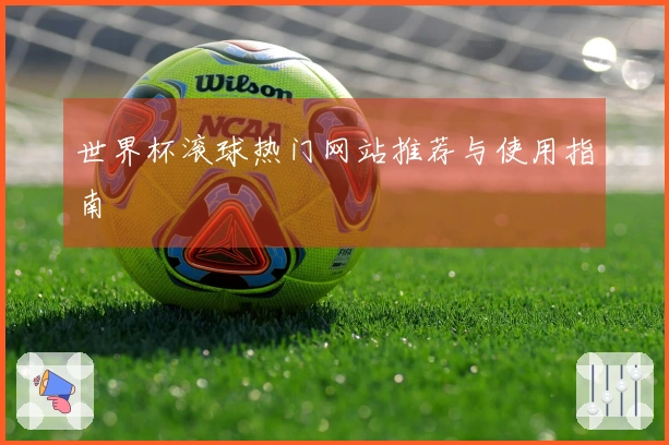 世界杯滚球热门网站推荐与使用指南