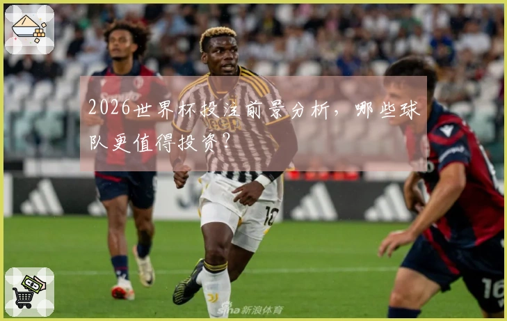 2026世界杯投注前景分析，哪些球队更值得投资？