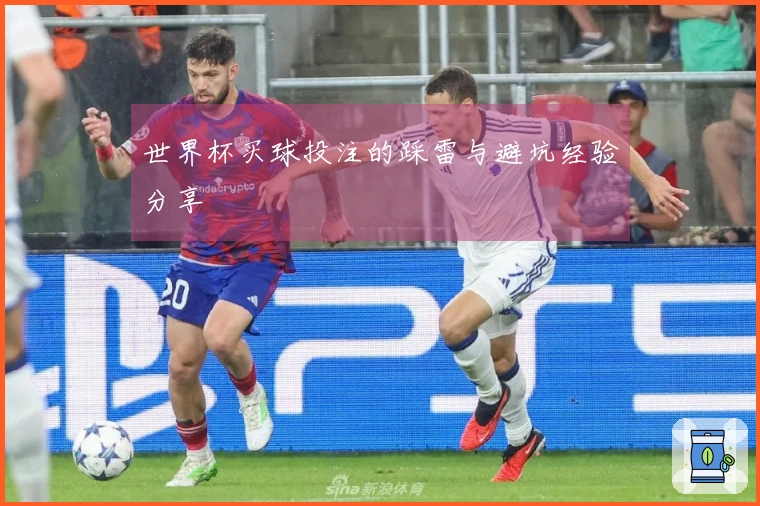 世界杯买球投注的踩雷与避坑经验分享