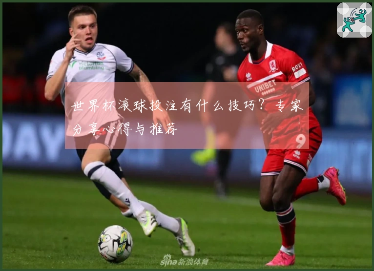 世界杯滚球投注有什么技巧？专家分享心得与推荐