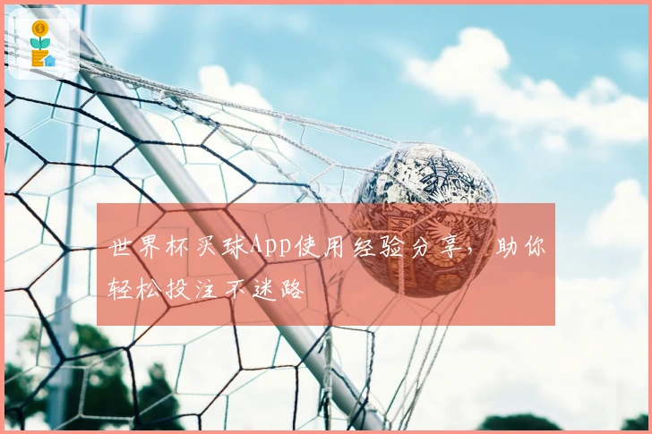世界杯买球App使用经验分享，助你轻松投注不迷路